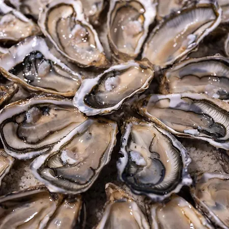 Atalante - Relais Thalasso & Hotel 4*