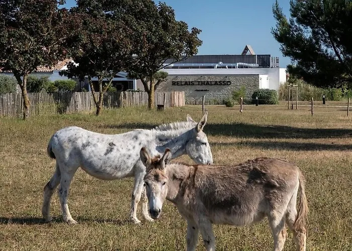 Atalante - Relais Thalasso & Sainte-Marie-de-Re