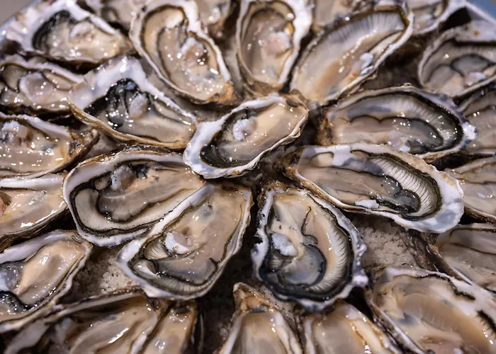 Atalante - Relais Thalasso & Hotel 4*